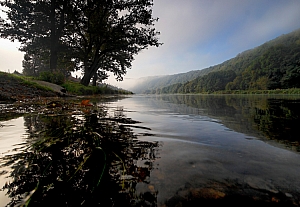 070923 MEUSE 14929 01P.jpg